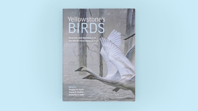 Yellowstone's Birds front cover