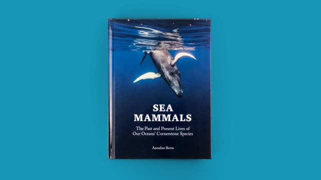 Sea Mammals front cover