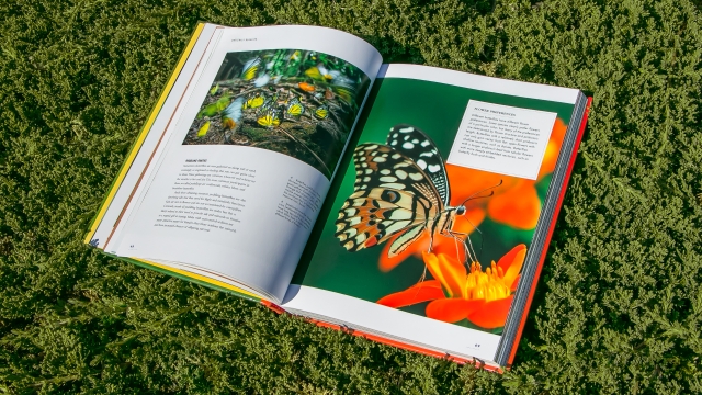 The Lives of Butterflies - colorful 2 page spread of butterflies - pages 68-69