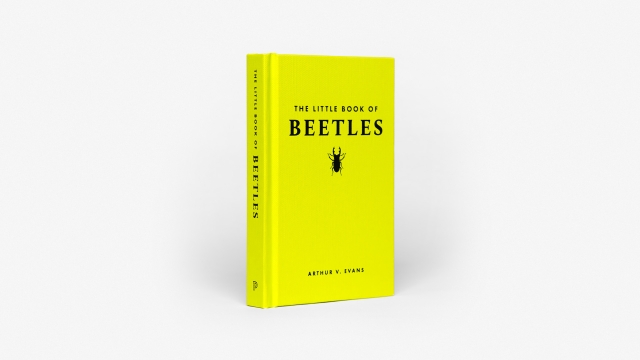 Little Book of Beetles - front cover
