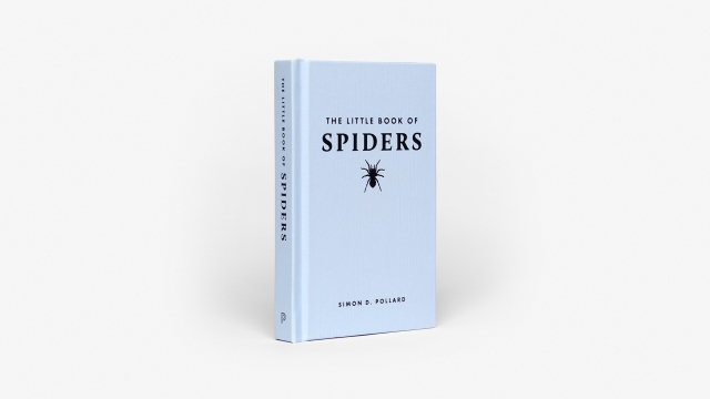 The Little Book of Spiders - front cover