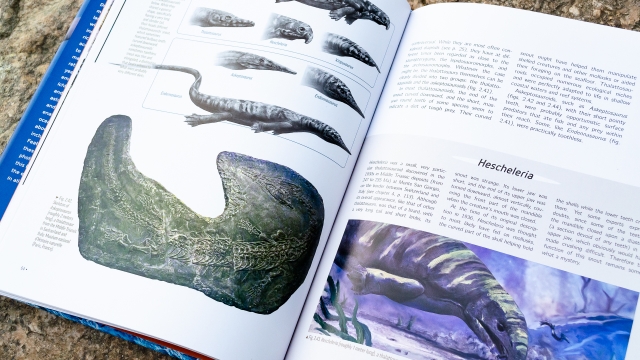 Ocean Life in the Time of the Dinosaurs - Hescheleria page spread