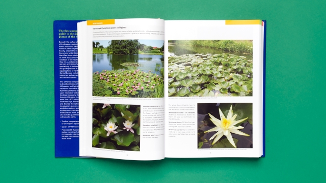 Aquatic Plants - Nymphaea Species and Hybrid 2 page spread