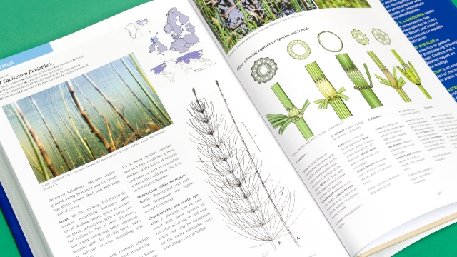 Aquatic Plants - 2 page spread entry for Equisetum fluviatile