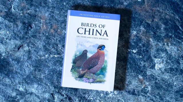 Birds of China front cover