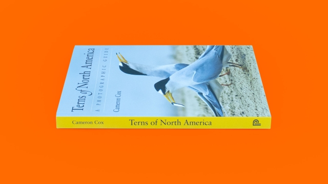 Terns of North America by Cameron Cox book spine.