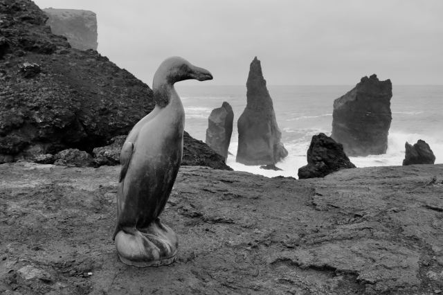 Bronze statue of Great Auk with rocky shoreline in the background