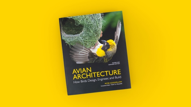 Avian Architecture by Peter Goodfellow - front cover