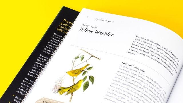 Avian Architecture - yellow warbler case study closeup.