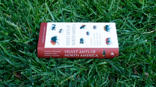 Velvet Ants of North America book spine.