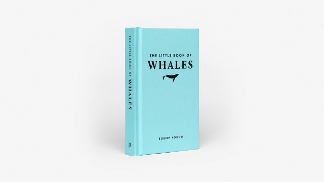 The Little Book of Whales front cover.