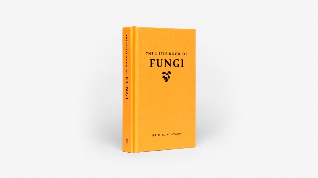 The Little Book of Fungi front cover.