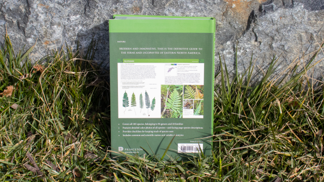 Ferns, Spikemosses, Clubmosses, and Quillworts back cover.