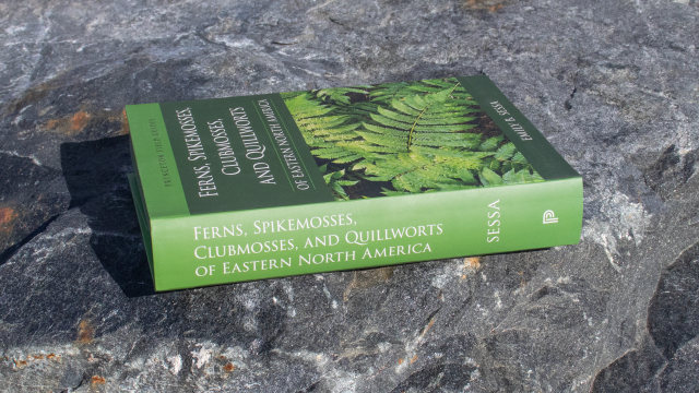 Ferns, Spikemosses, Clubmosses, and Quillworts book spine.