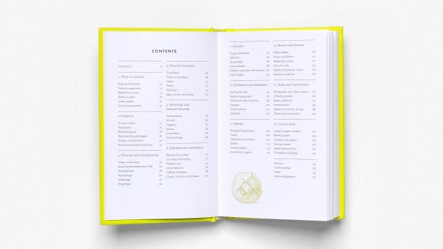 The Little Book of Beetles - Table of Contents pagespread.