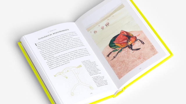 The Little Book of Beetles - Habitats 2 pagespread.