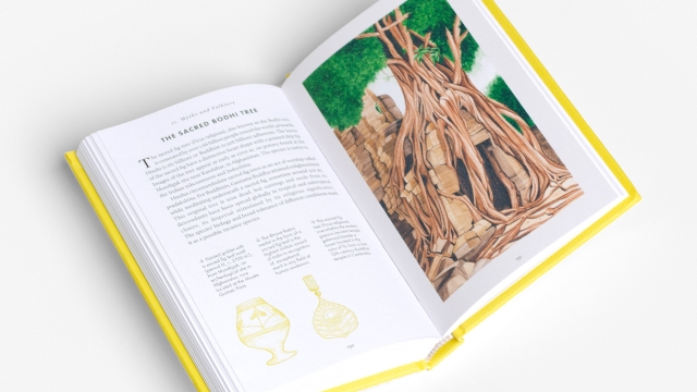 The Little Book of Trees - Myths and Folklore 2 pagespread with text and illustrations.