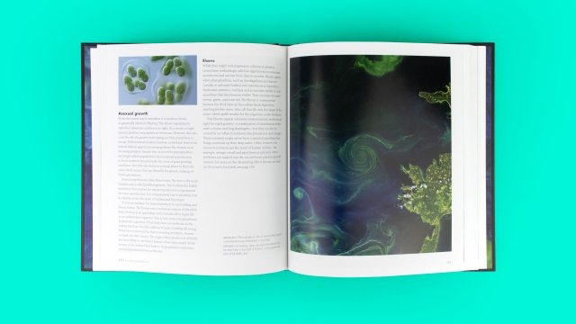 Plankton - 2 page spread, Asexual Growth entry with text and images