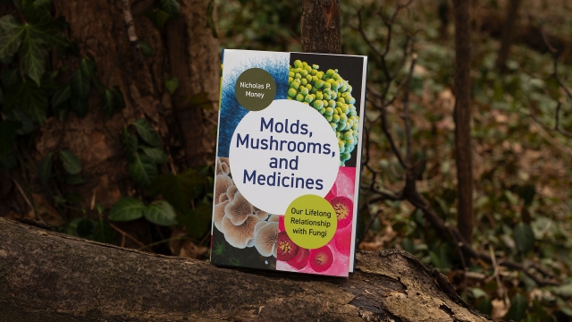 Molds, Mushrooms, and Medicines - front cover.