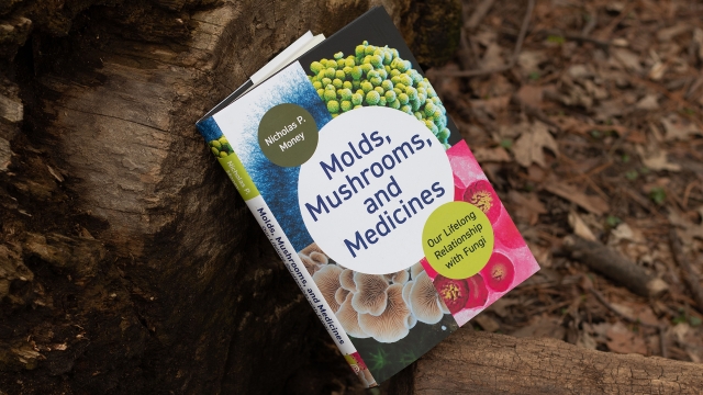 Molds, Mushrooms, and Medicines - front cover angled.