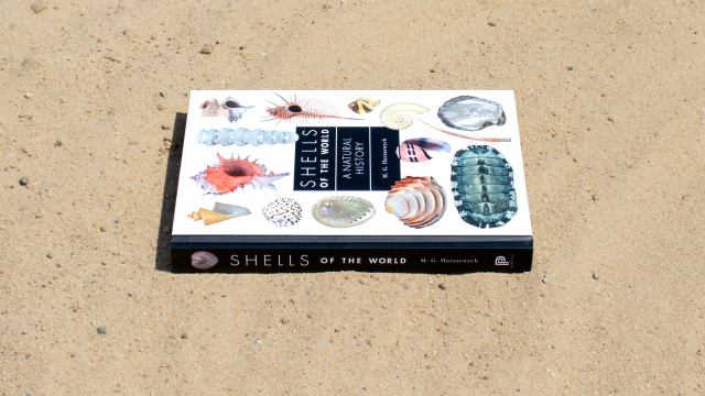 Shells of the World book spine.