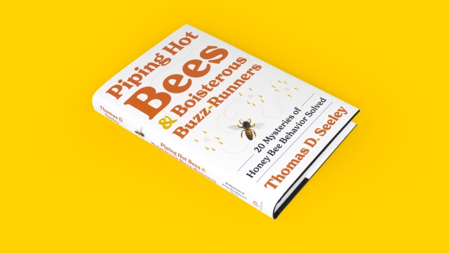 Piping Hot Bees and Boisterous Buzz-Runners front book cover angled.