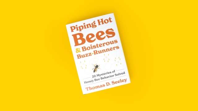 Piping Hot Bees and Boisterous Buzz-Runners front book cover.