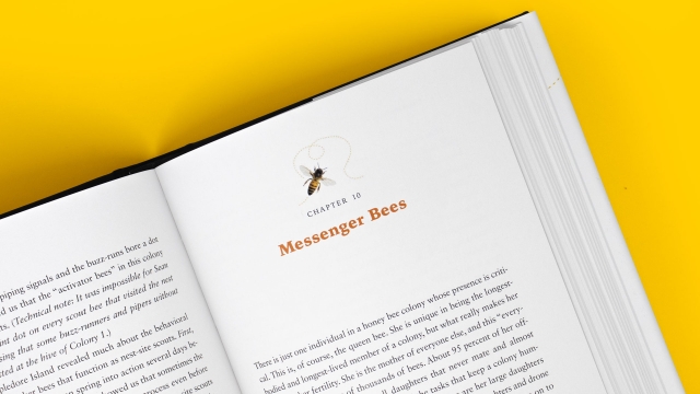 Piping Hot Bees and Boisterous Buzz-Runners - closeup Chapter 10 Messenger Bees.