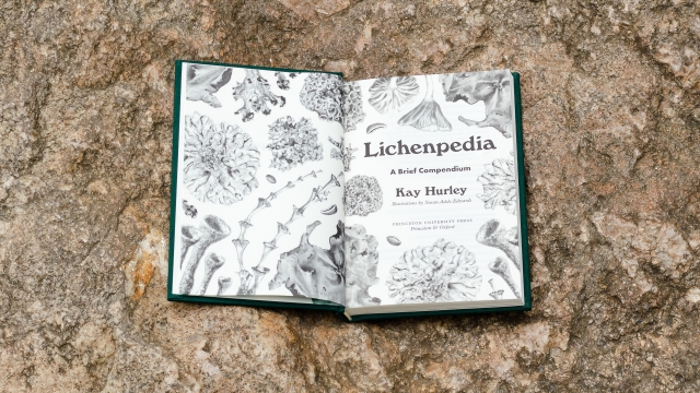 Lichenpedia - title page spread.