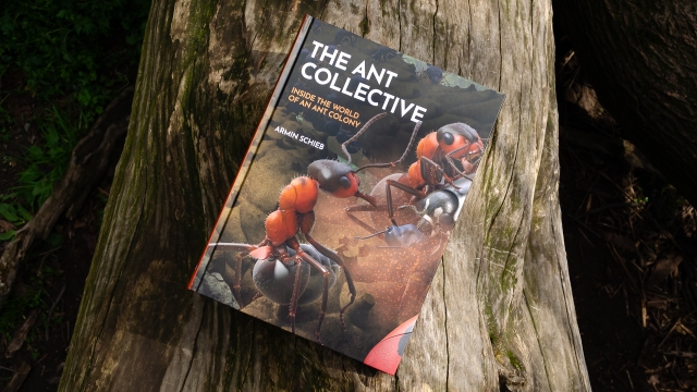 The Ant Collective front cover.