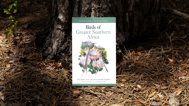 Birds of Greater Southern Africa front cover.