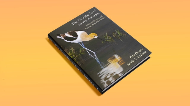 The Shorebirds of North America front cover on angle.