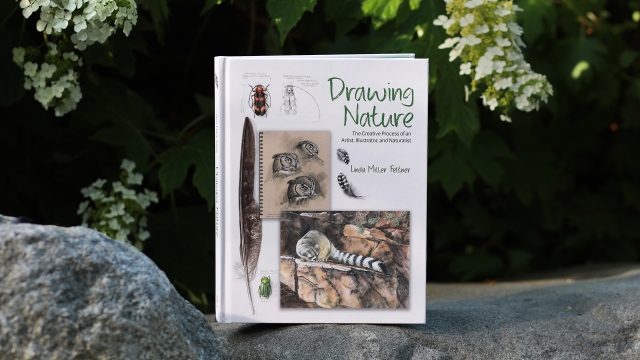 Drawing Nature front cover.