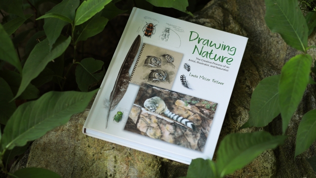 Drawing Nature front cover angled.