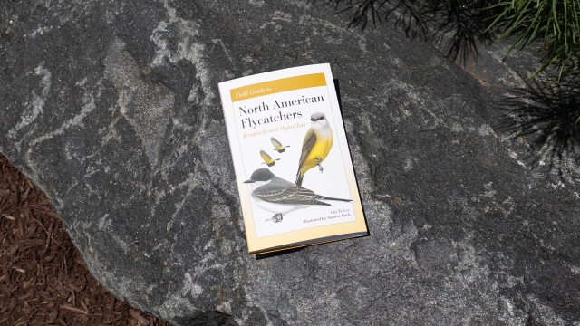 Field Guide to North American Flycatchers front cover.