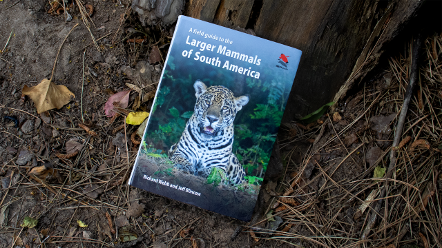 A Field Guide to the Larger Mammals of South America front cover.