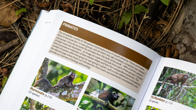 A Field Guide to the Larger Mammals of South America - Primates pagespread.