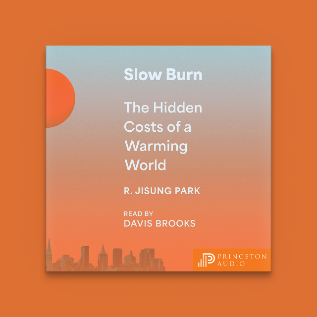 Slow Burn audiobook cover