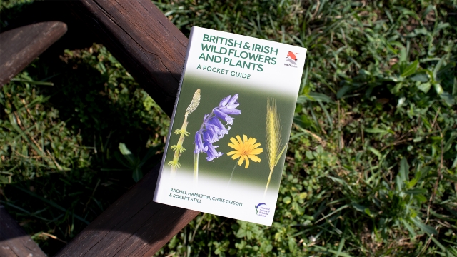 British & Irish Wild Flowers and Plants front cover.