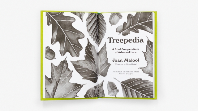 Treepedia title pagespread.