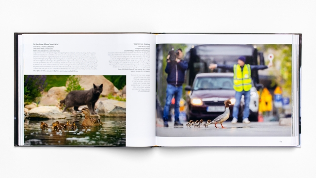 Bird Photographer of the Year front - bird families pagespread.