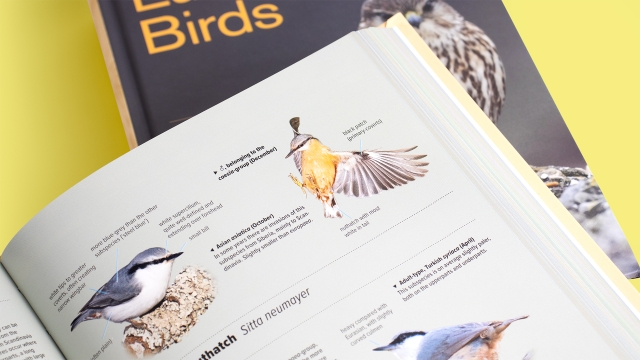 ID Handbook of European Birds top of page bird photographs example.