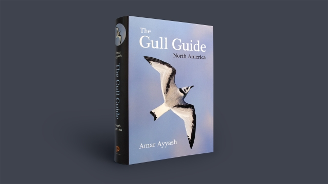 The Gull Guide front cover.