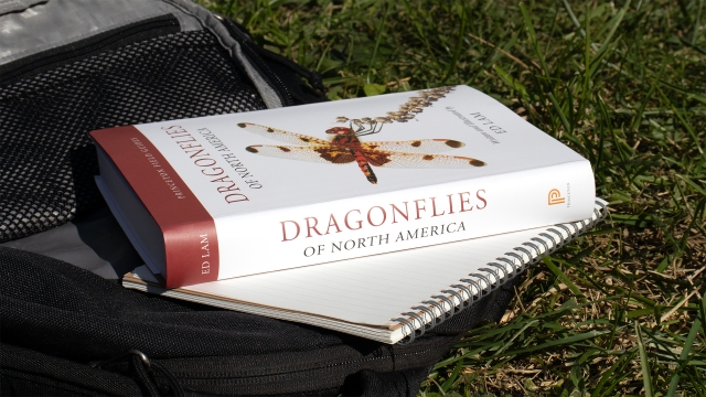 Dragonflies of North America book spine.