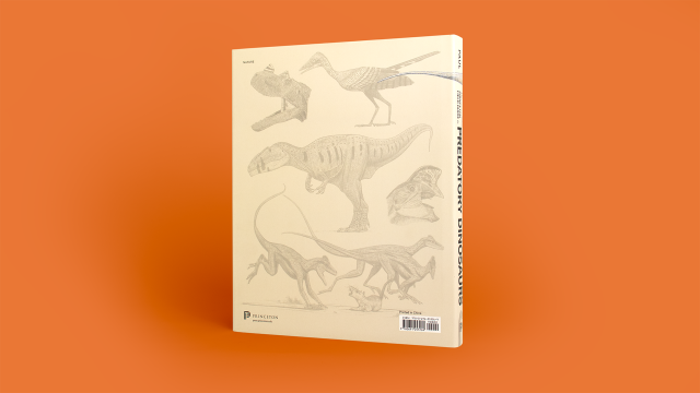 The Princeton Field Guide to Predatory Dinosaurs back cover.