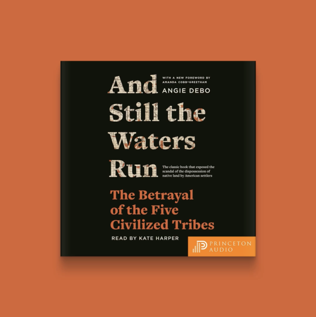 And Still the Waters Run audiobook