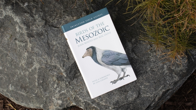 Birds of the Mesozoic front cover.