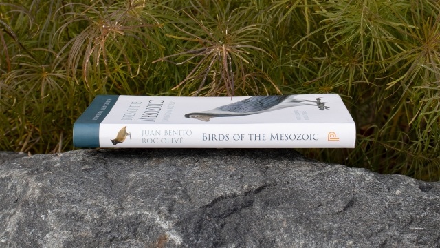 Birds of the Mesozoic book spine.