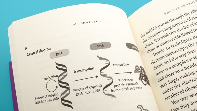 The Power of Prions - top of page diagram showing DNA, RNA and Protein processes.