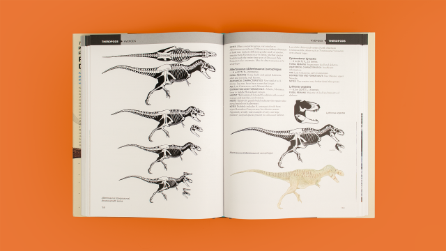 The Princeton Field Guide to Predatory Dinosaurs - Skeletons of Theropods and Avepods.